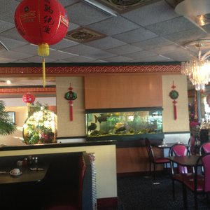 New China King